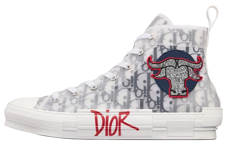 DIOR B23