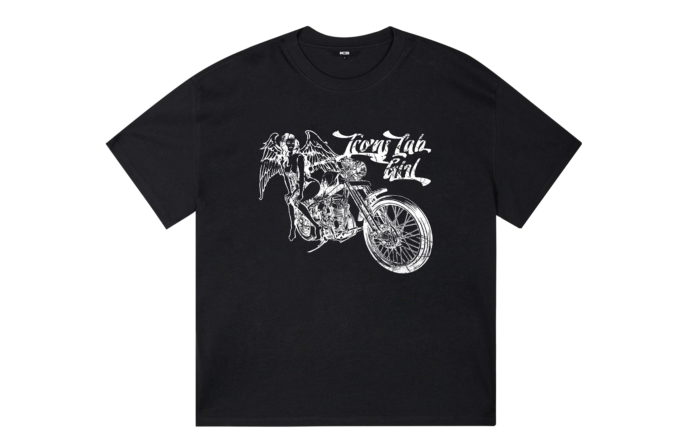 ICONS Lab ICS T