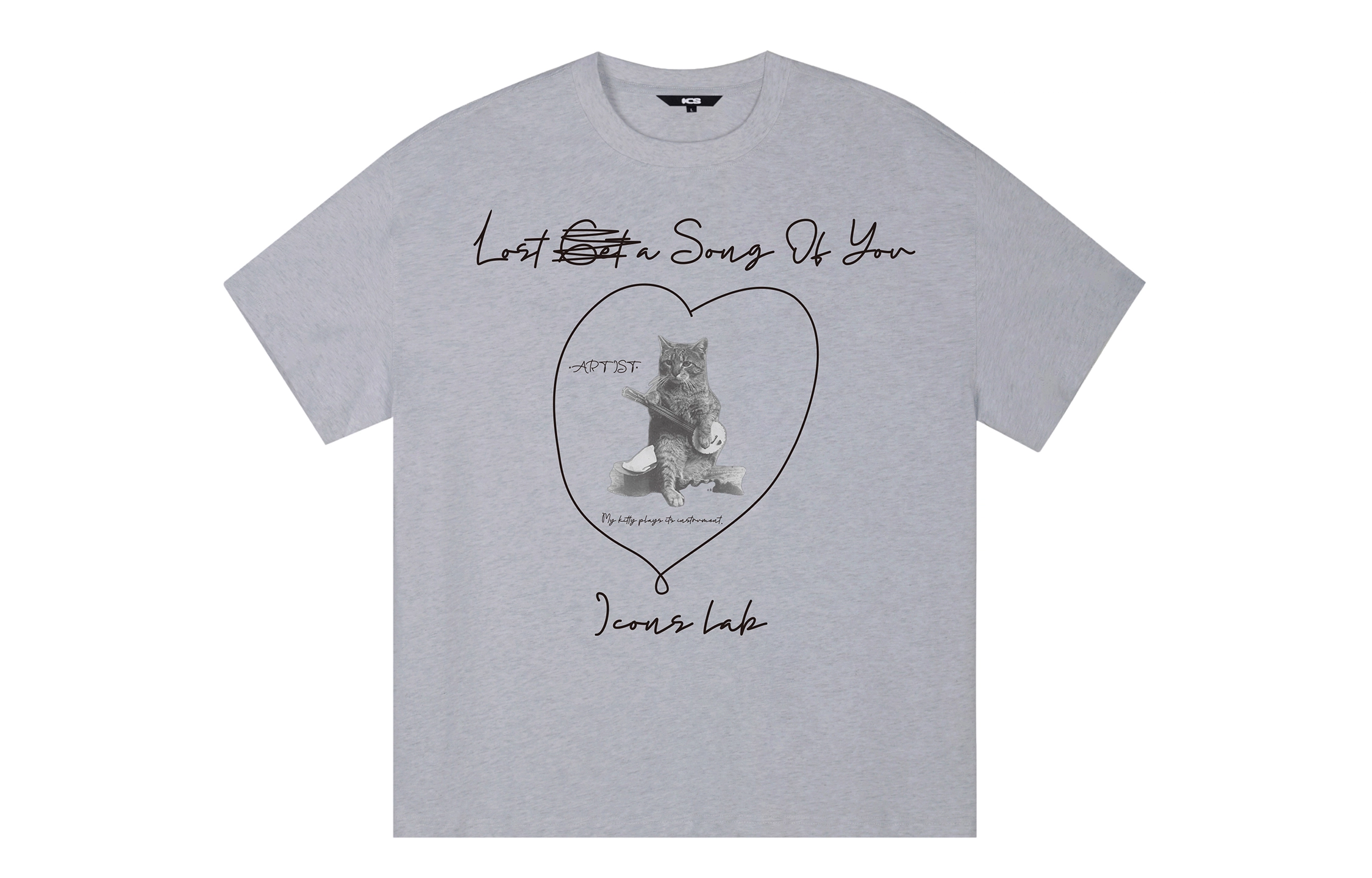 ICONS Lab ICS T