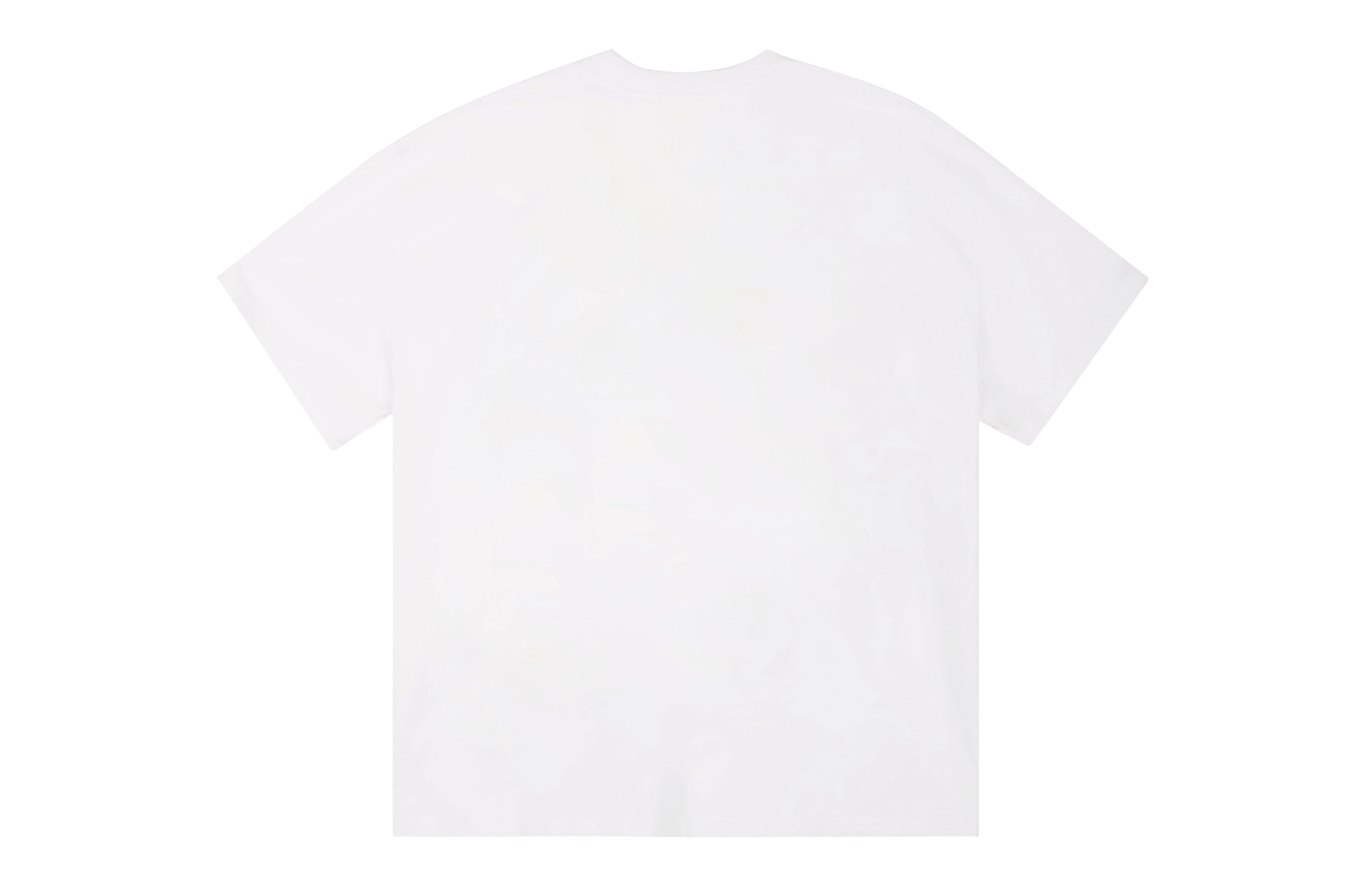 ICONS Lab ICS T