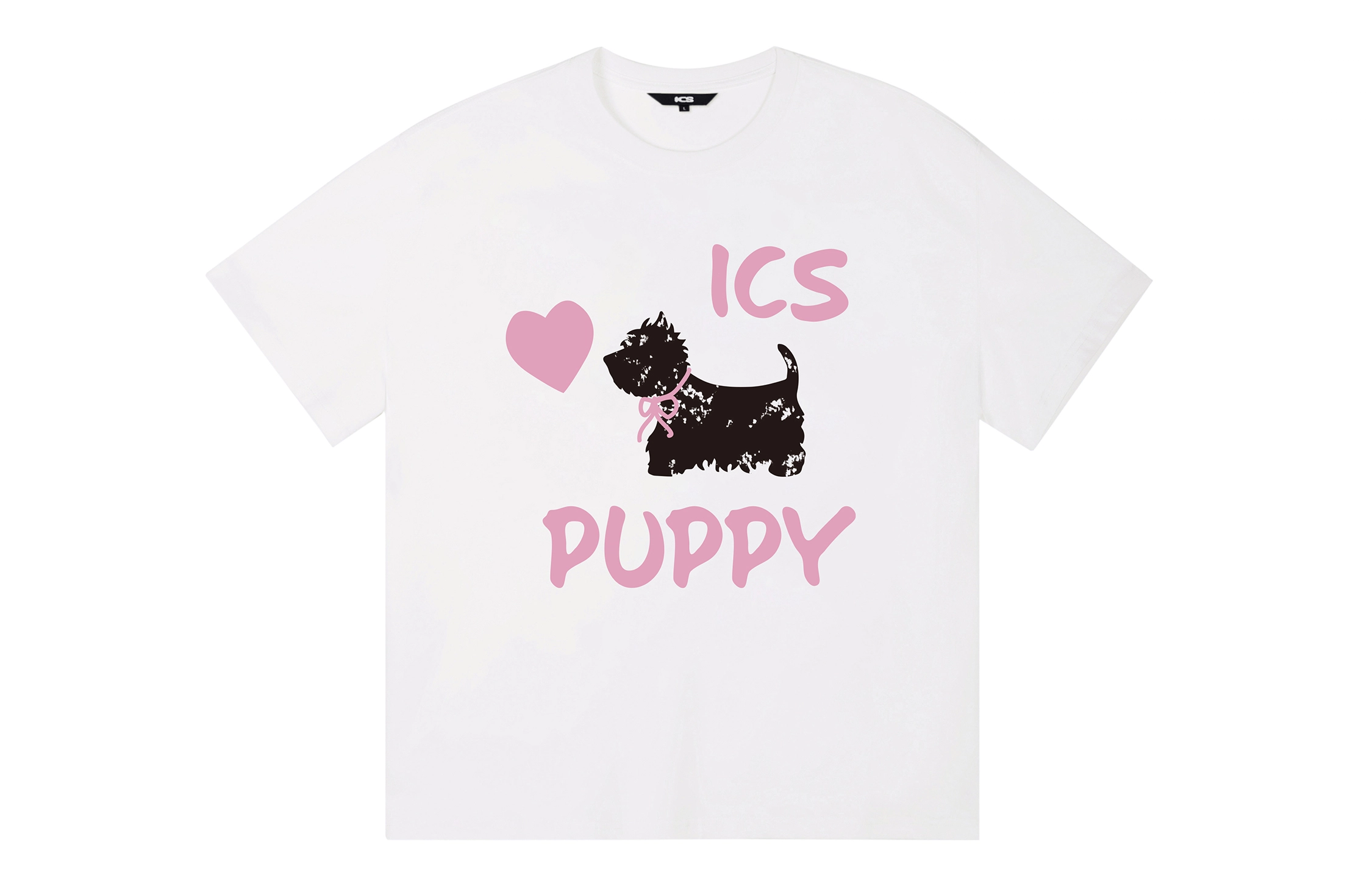 ICONS Lab ICS T