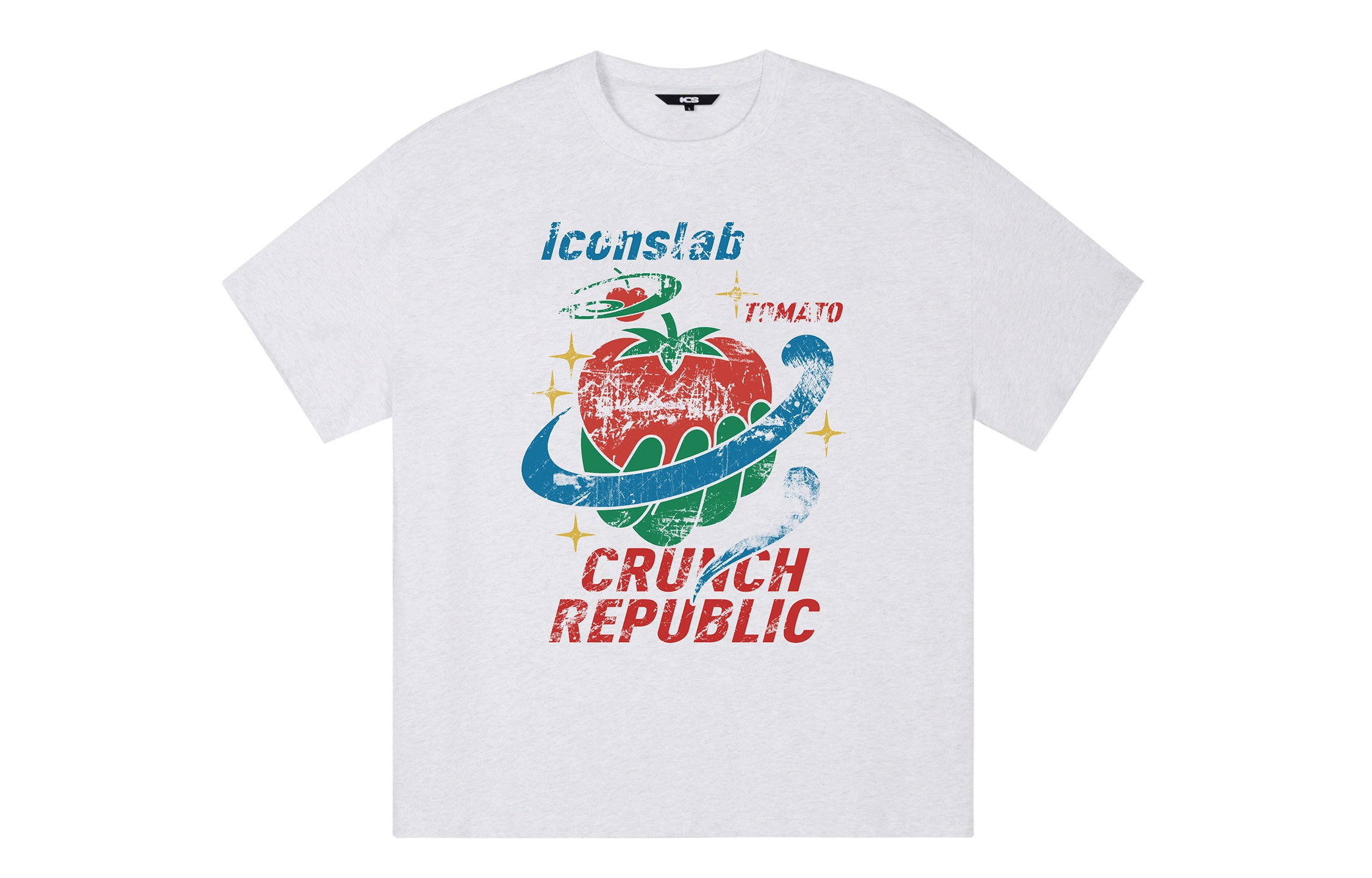 ICONS Lab ICS T