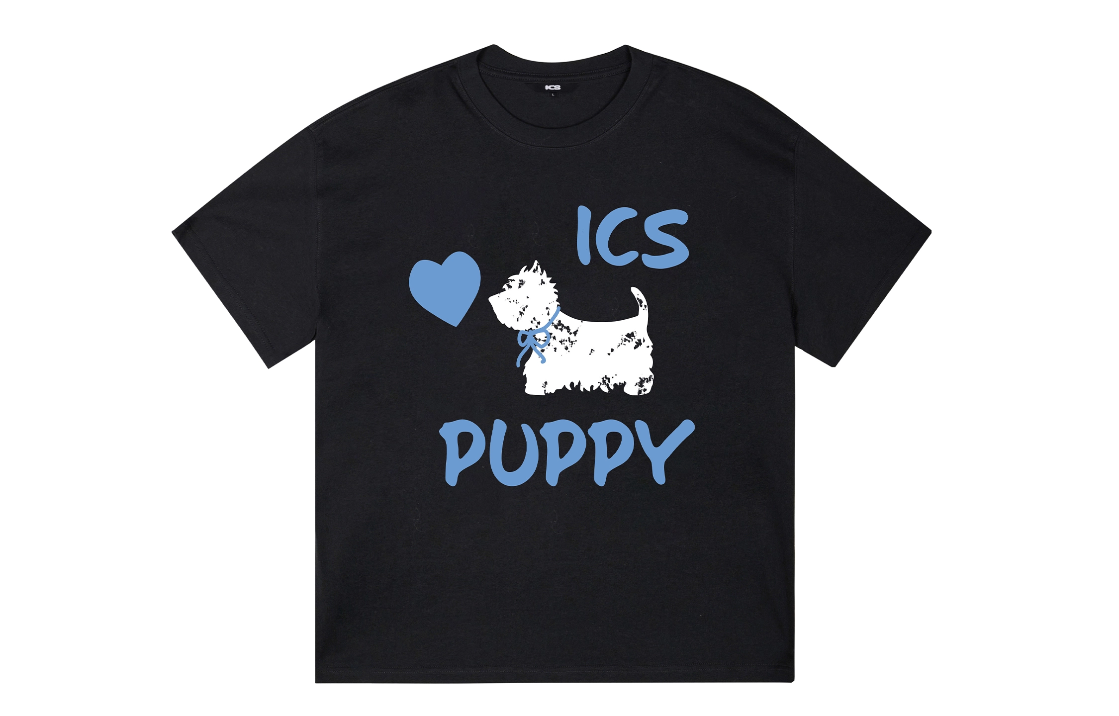 ICONS Lab ICS T
