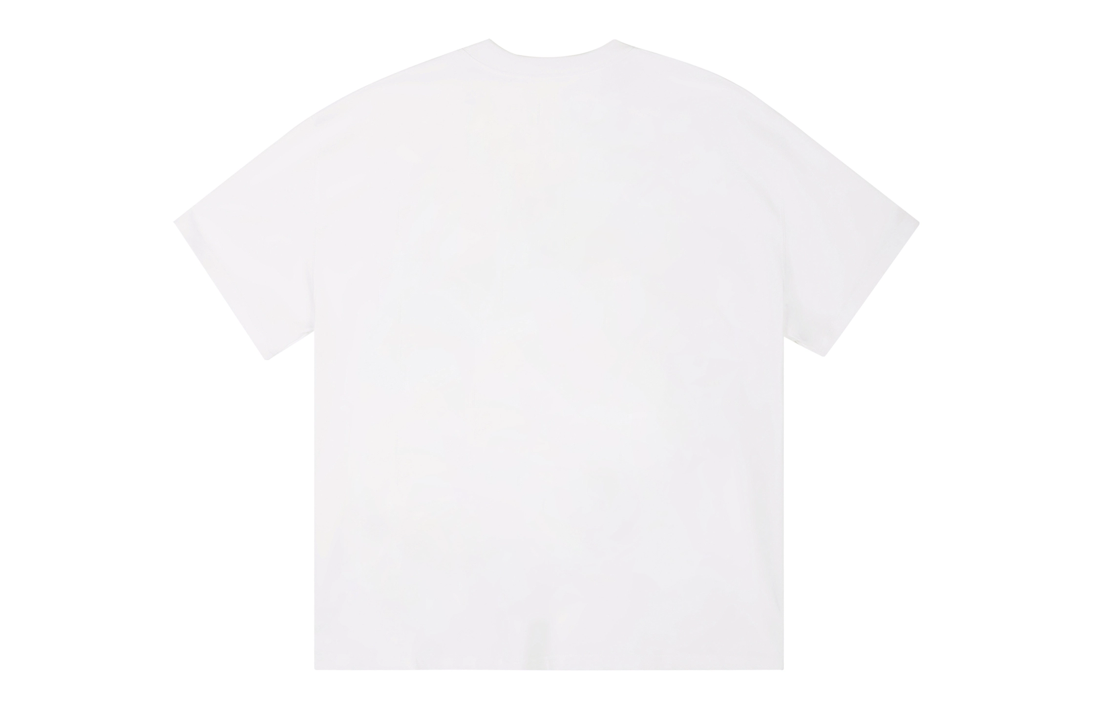ICONS Lab ICS T