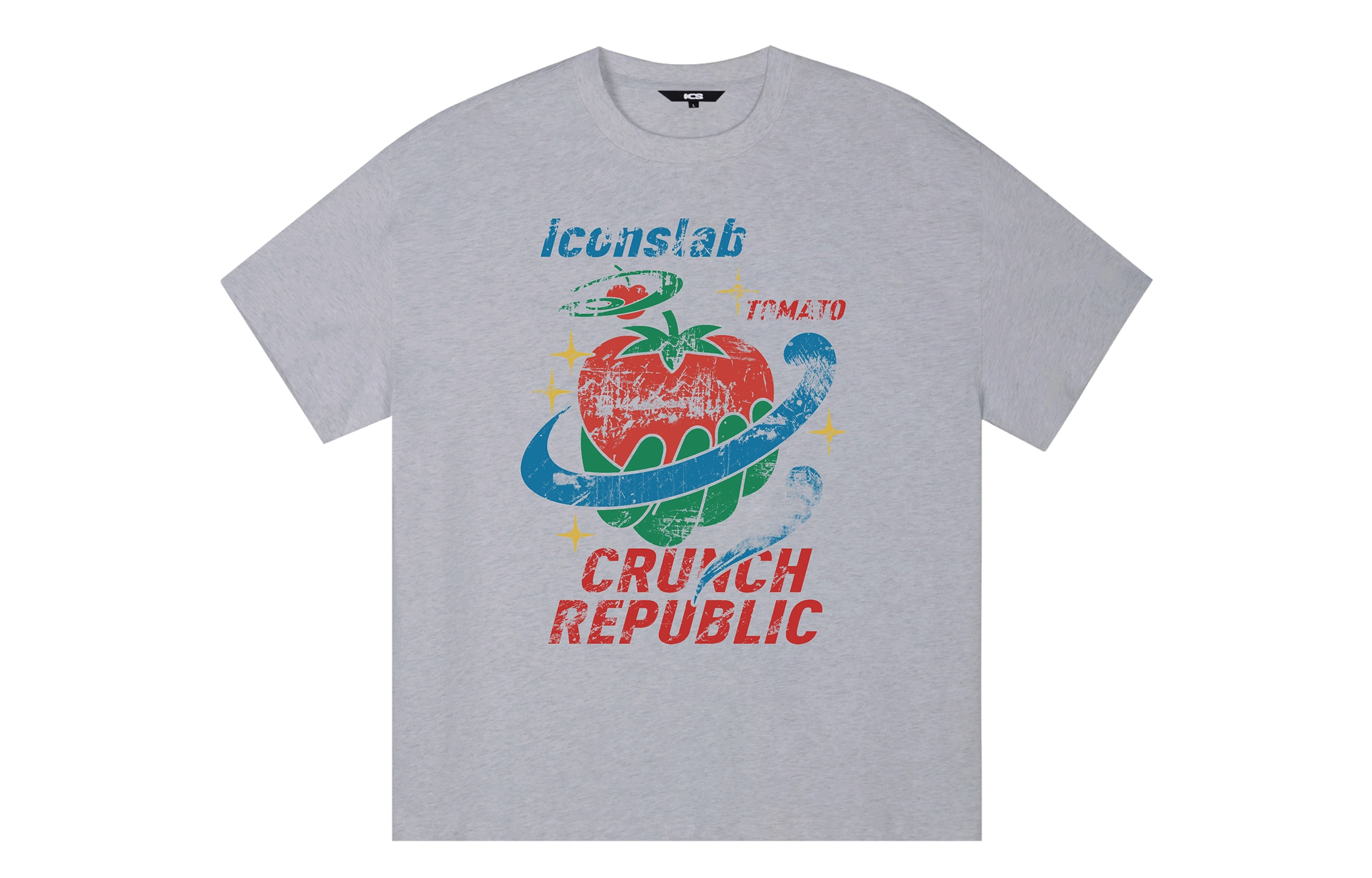 ICONS Lab ICS T
