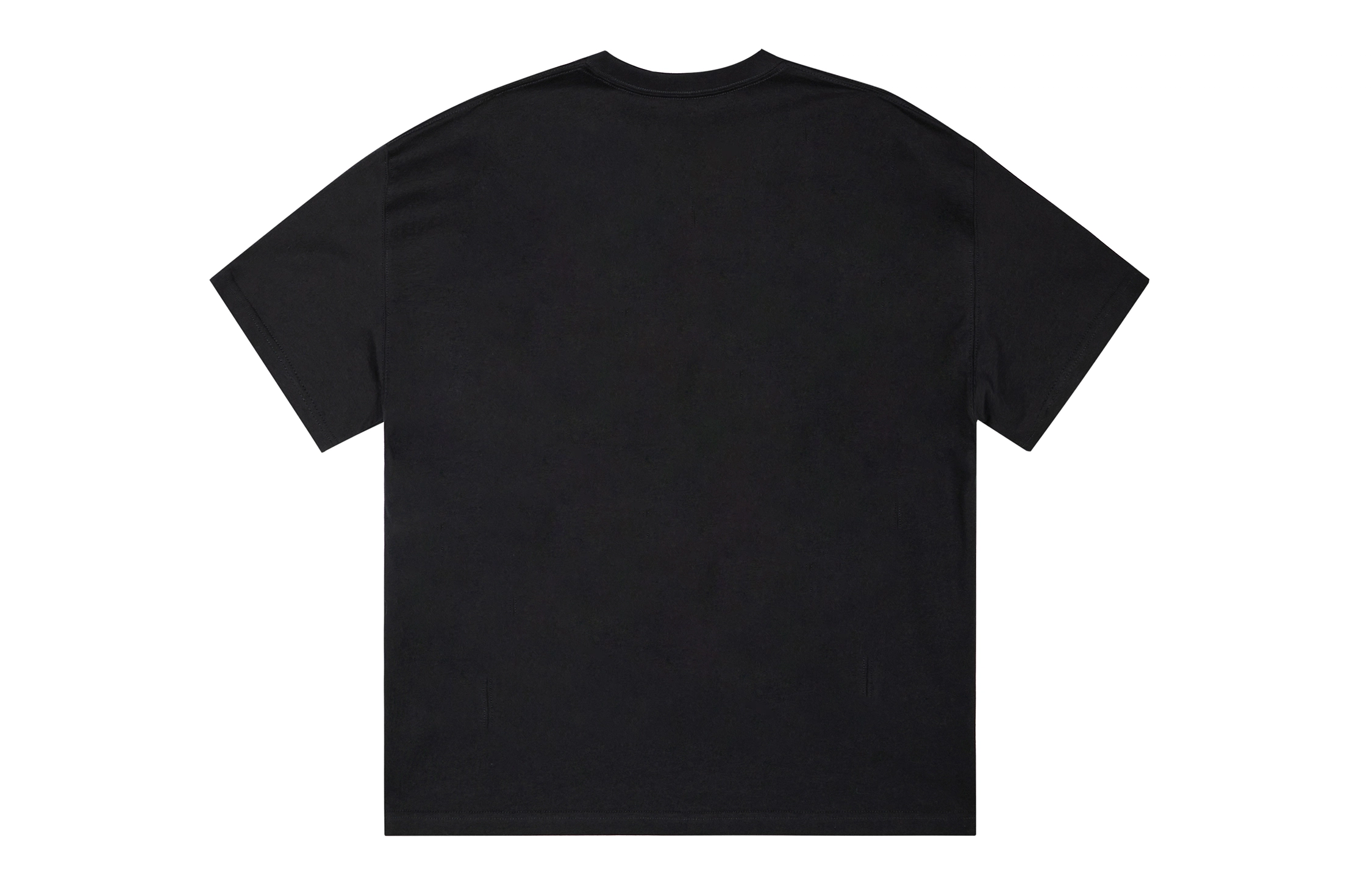 ICONS Lab ICS T
