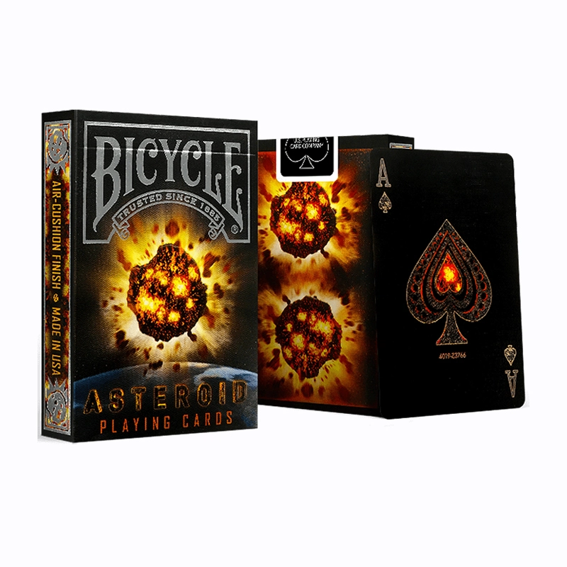 BICYCLE INS