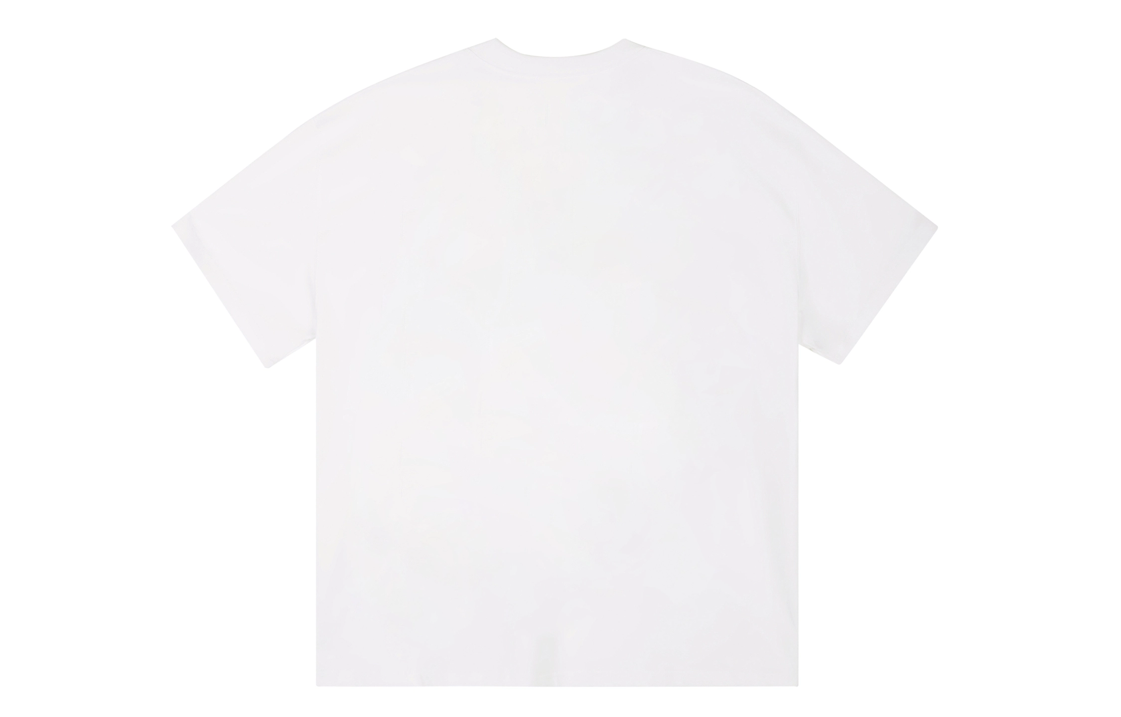 ICONS Lab ICS T