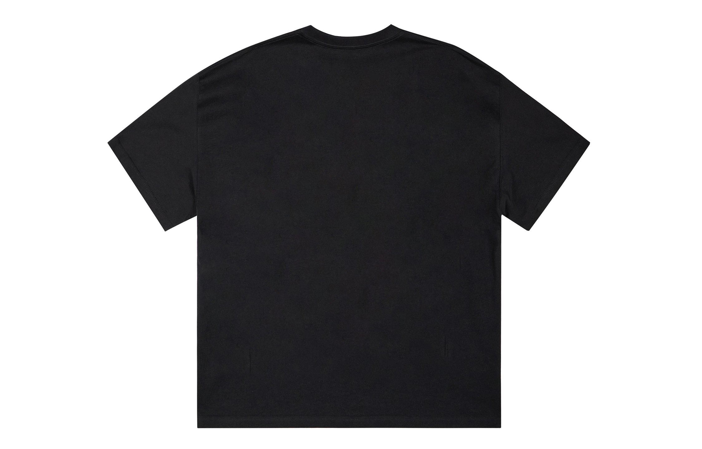 ICONS Lab ICS T