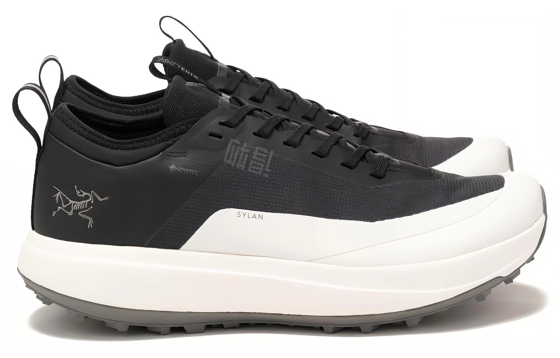Arcteryx SYLAN GTX