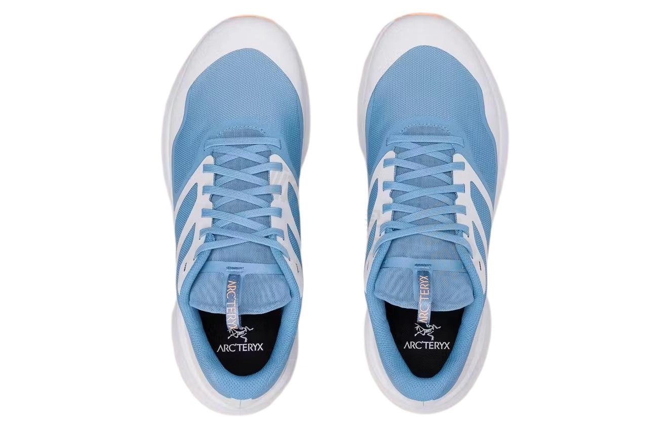 Arcteryx Norvan LD 3 TPU