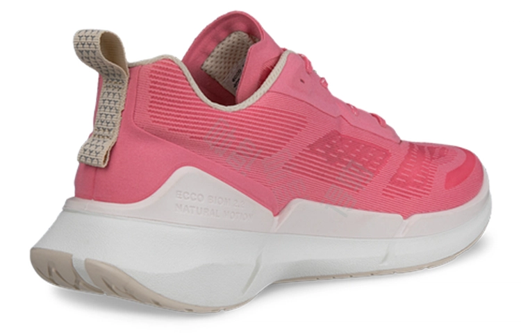 ecco 2.2