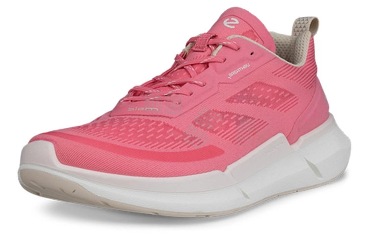ecco 2.2