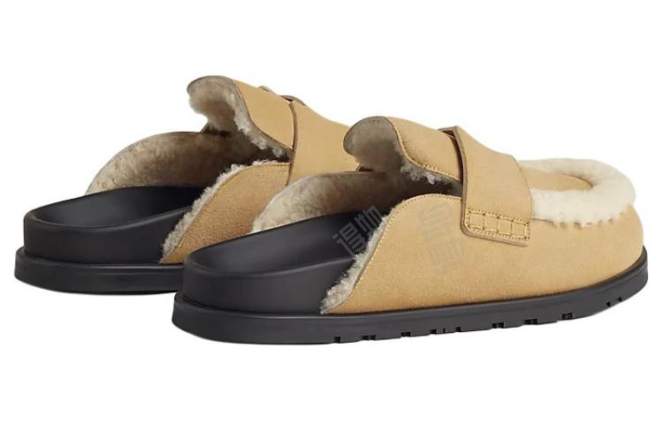 HERMES Go