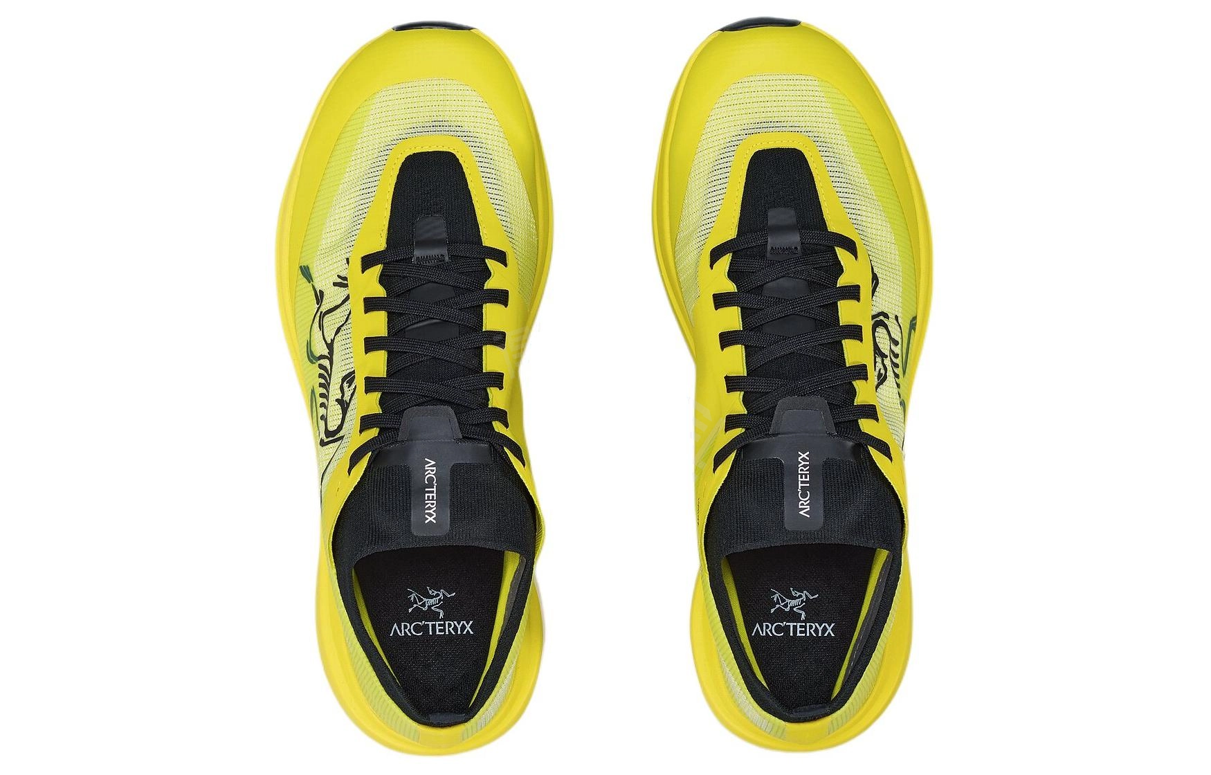 Arcteryx SYLAN PRO