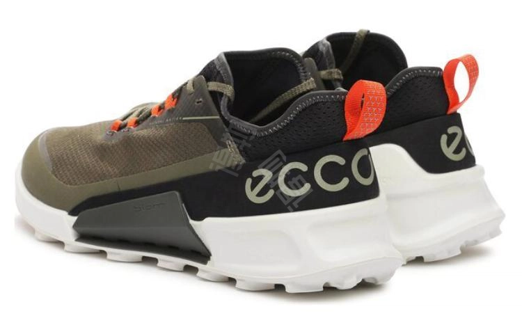 ecco