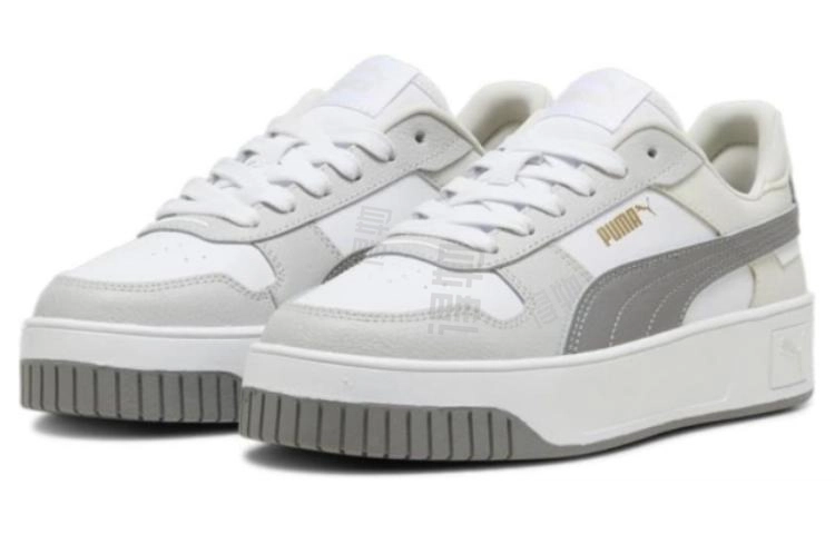 PUMA Carina