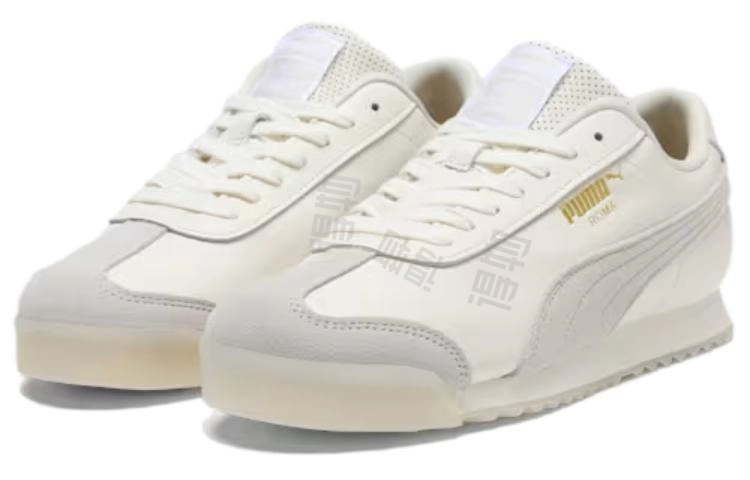 PUMA ROMA