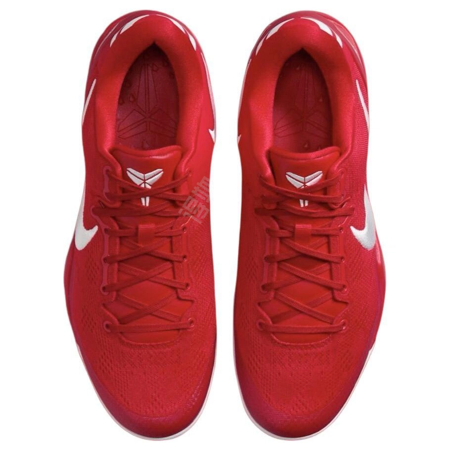 Nike Kobe 8 Protro "University Red"