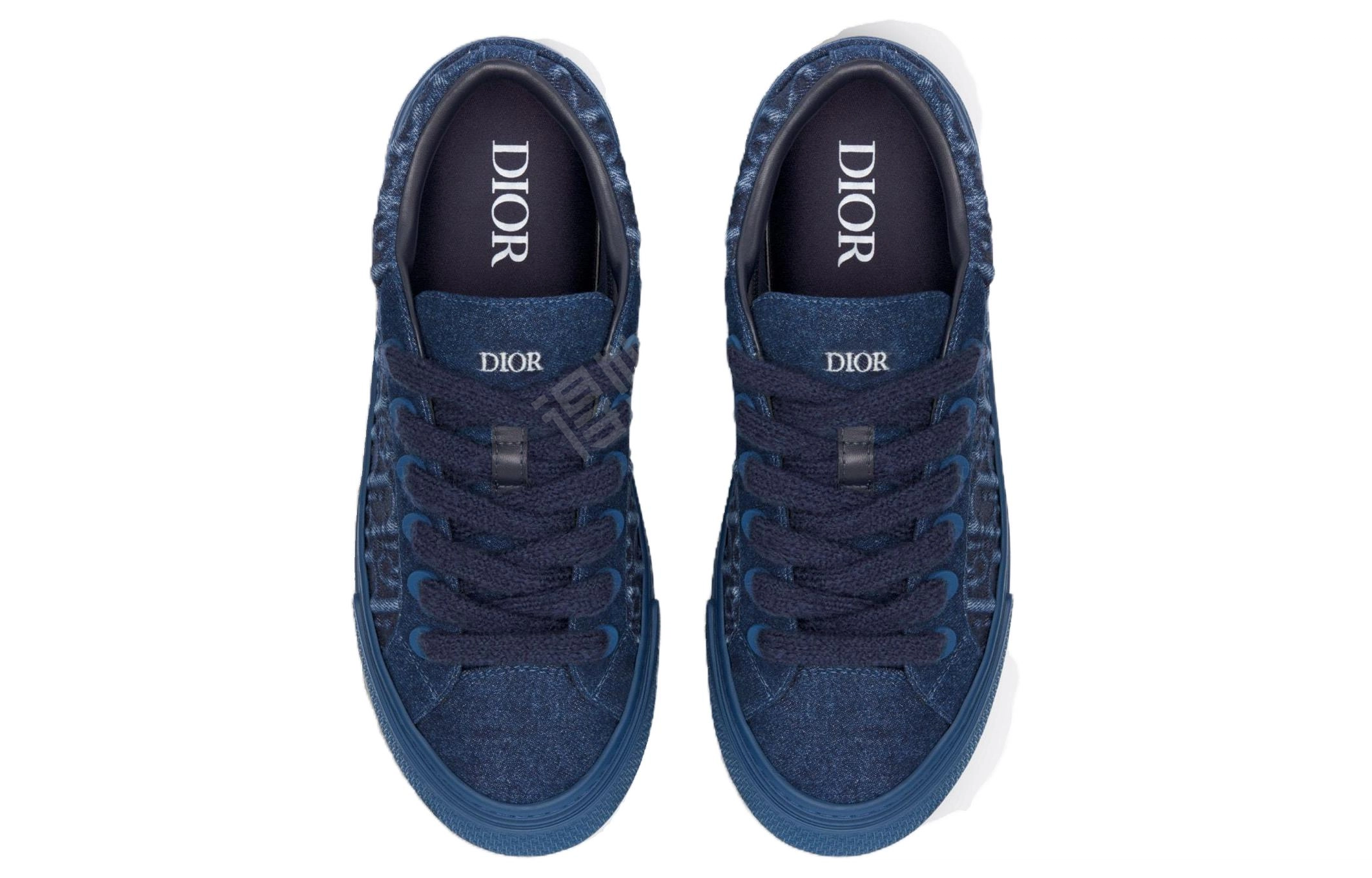DIOR B33 Oblique