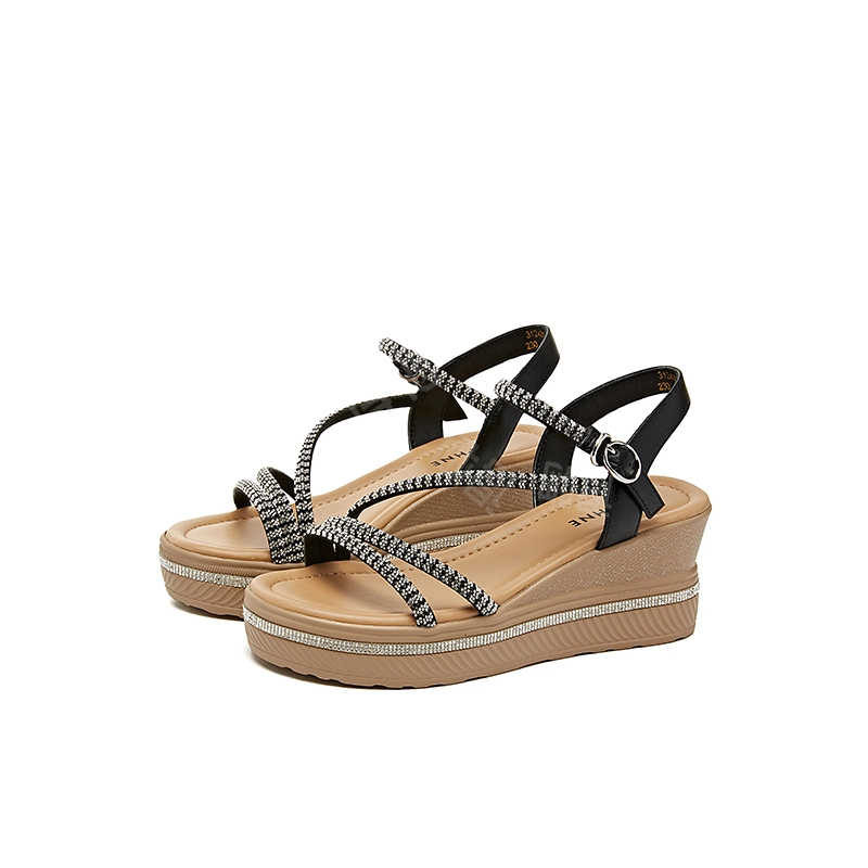 DAPHNE PU 6.5cm