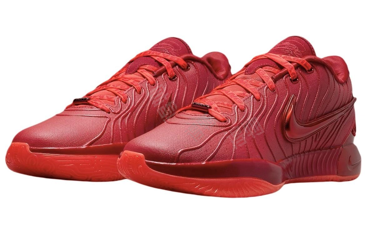 Nike Lebron 21 James Gang