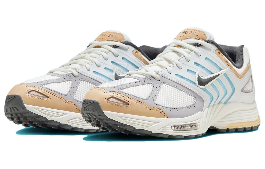 Nike Air Pegasus 2005