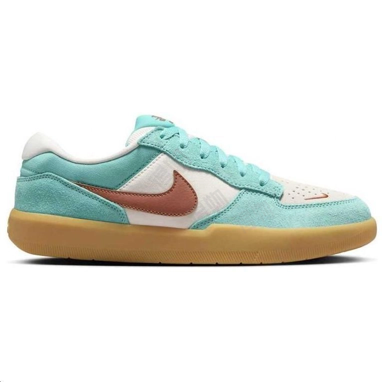 Nike SB Force 58