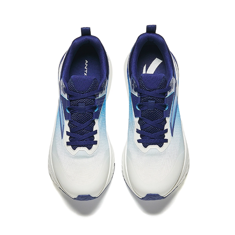 Anta PG7