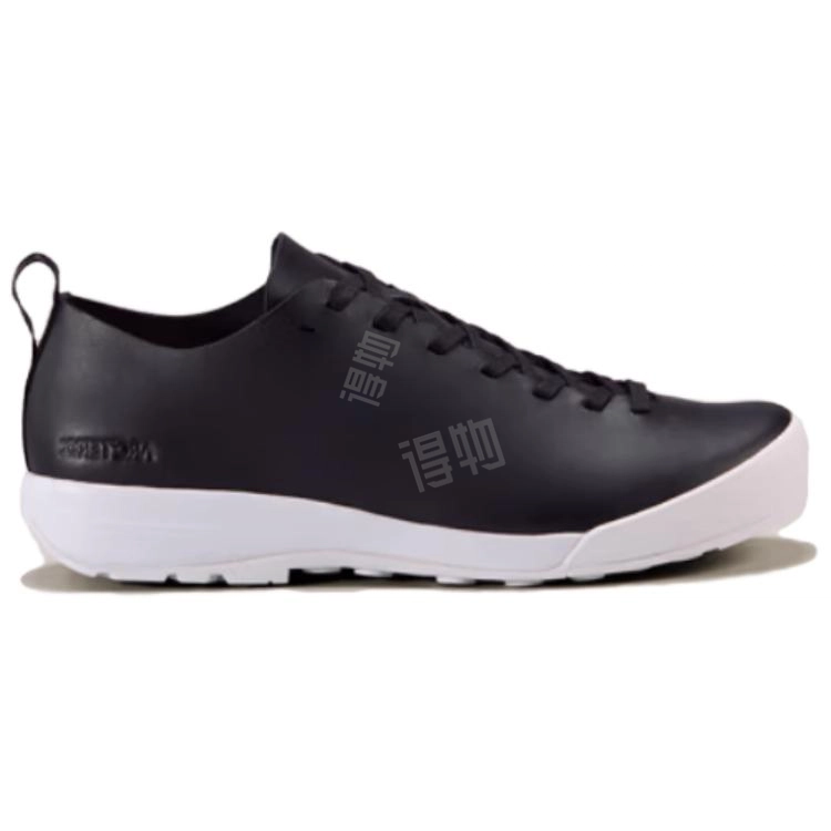 Arcteryx RALLE LEATHER 2