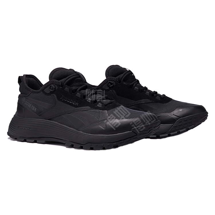 Reebok Dmx Trail GTX