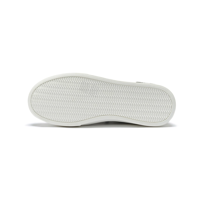 AQUASCUTUM