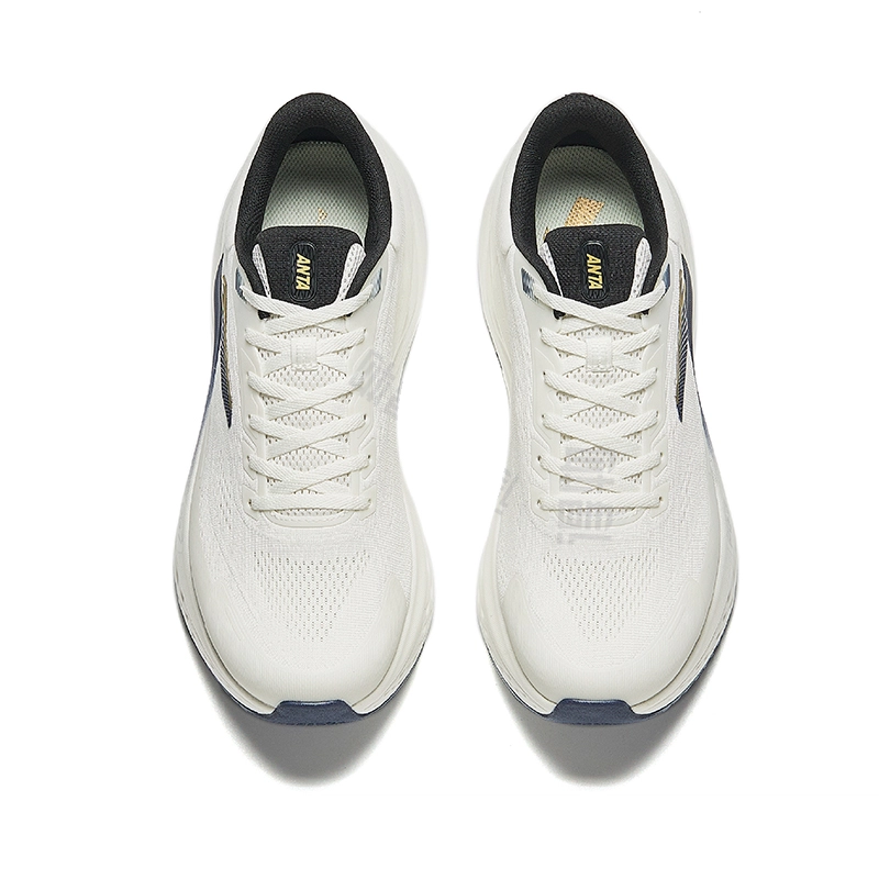 Anta PG7