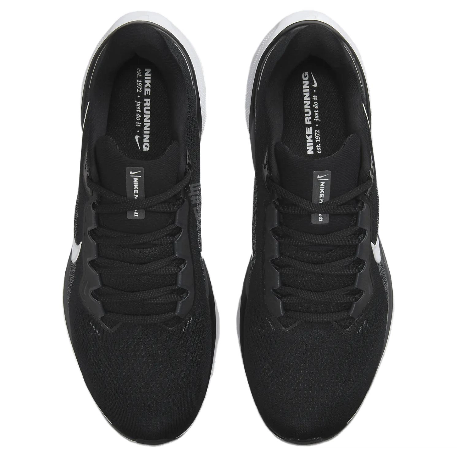 Nike Pegasus 41
