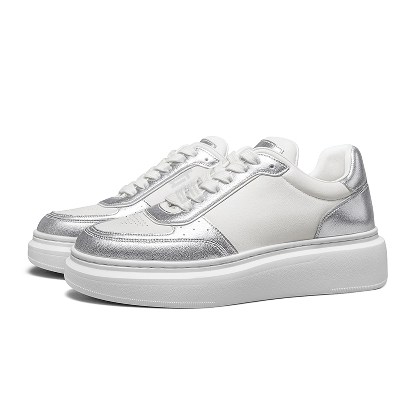 THOM WILLS trainer