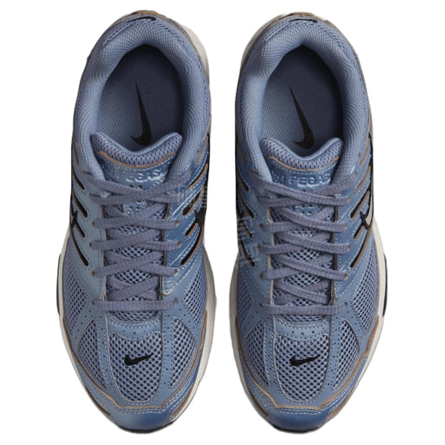 Nike Air Pegasus 2005