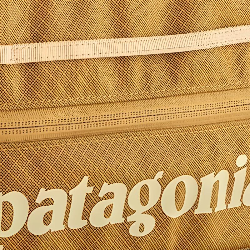patagonia Black Hole Cube 14L