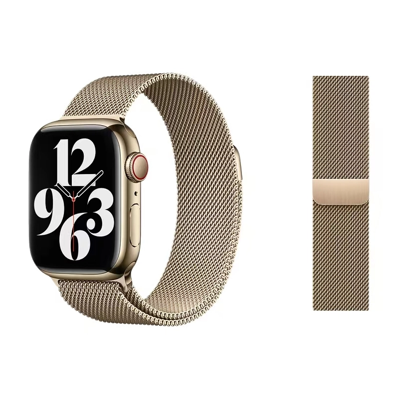 Apple Watch S10S9S8S7 38404142434549MM