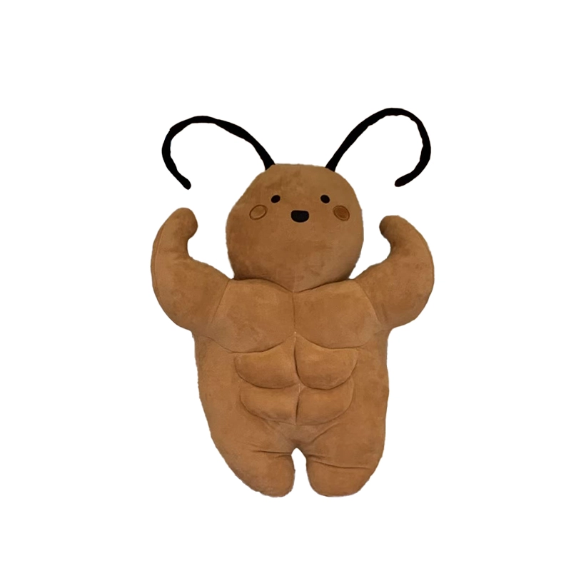 35cm50cm