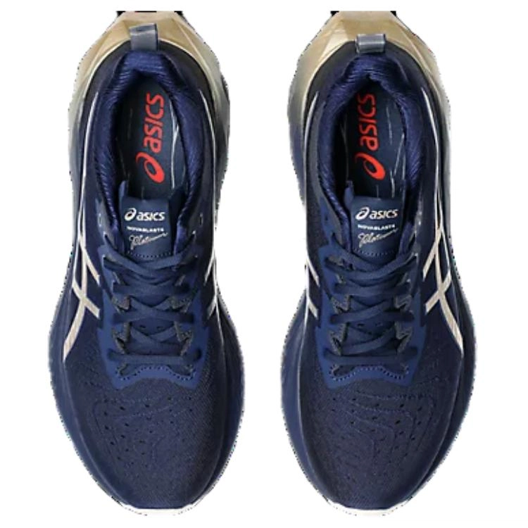 Asics Novablast 4 PLATINUM