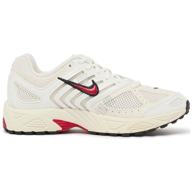 Nike Air Pegasus 2K5