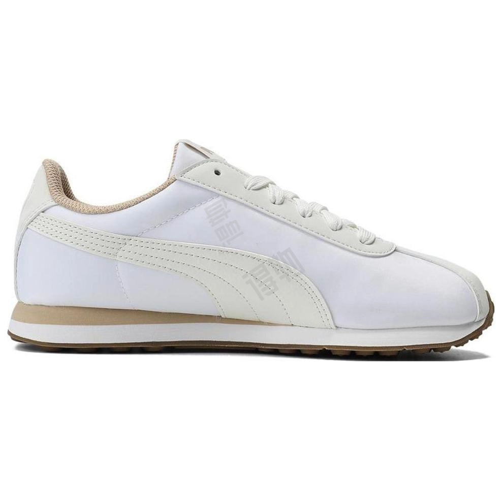 PUMA Turin NL
