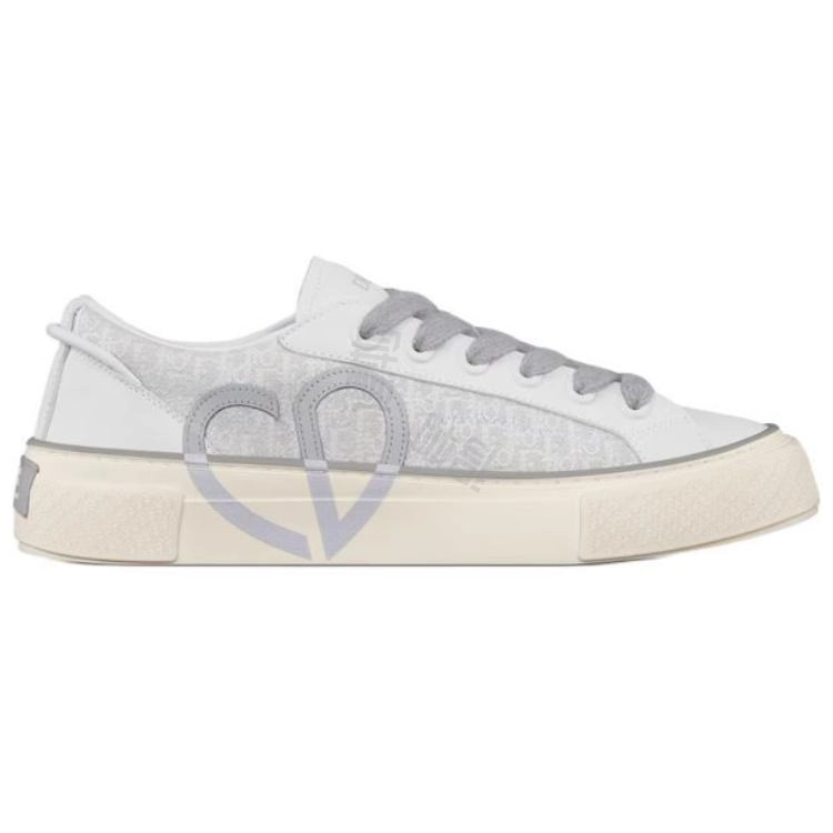 DIOR B33