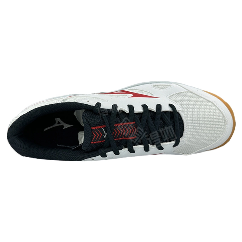Mizuno