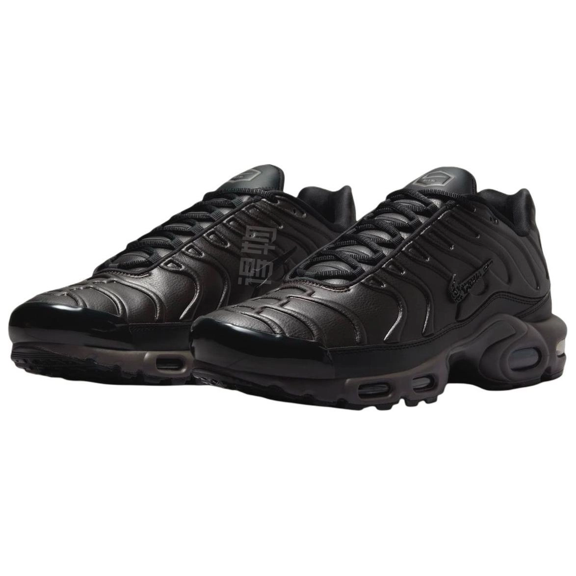 Nike Air Max Plus BLACK TEA