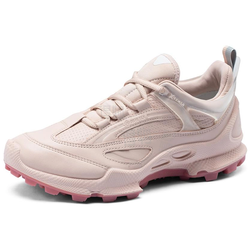 ecco Biom C Trail