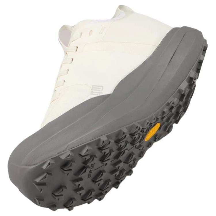Arcteryx SYLAN GTX