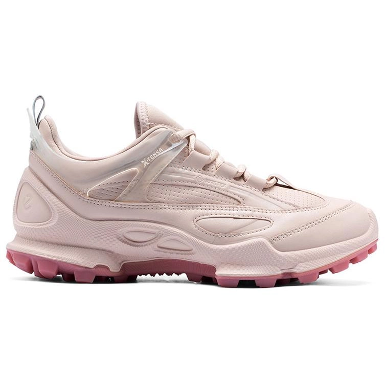 ecco Biom C Trail