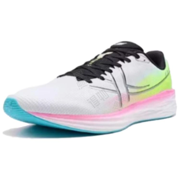 5.0LITE