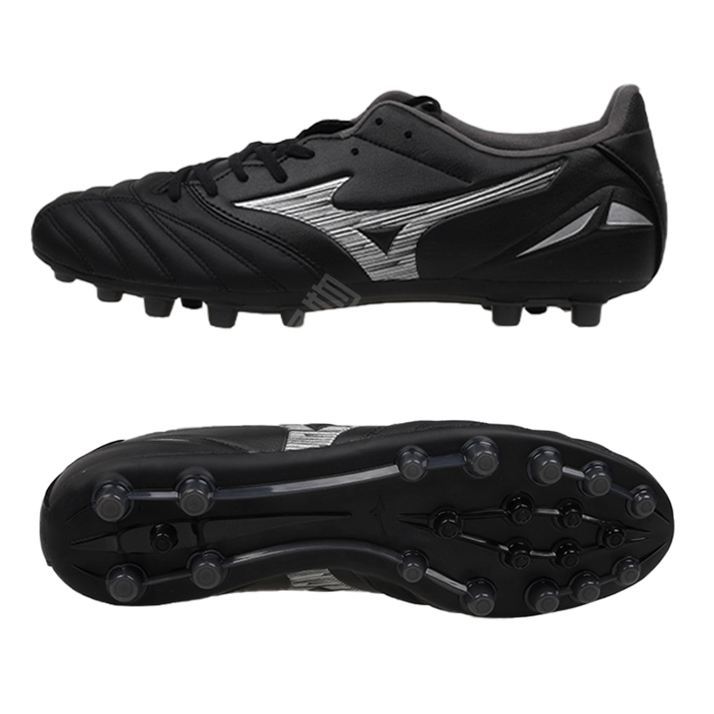 Mizuno